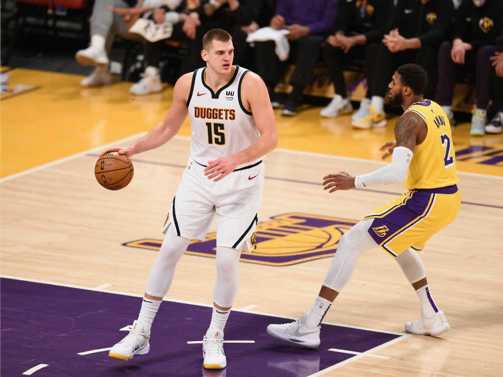 佳阵容的球 佳阵容的球